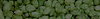 Light - Big Horizontal image 1.png